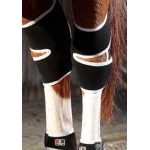 Premier Equine Magnetic Horse Hock Boots - Pair